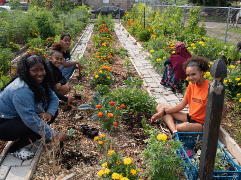 651f7e207a33015914cd2fe9_GDIWebElements (12)